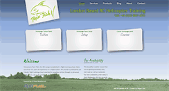 Desktop Screenshot of flyinfish.co.uk
